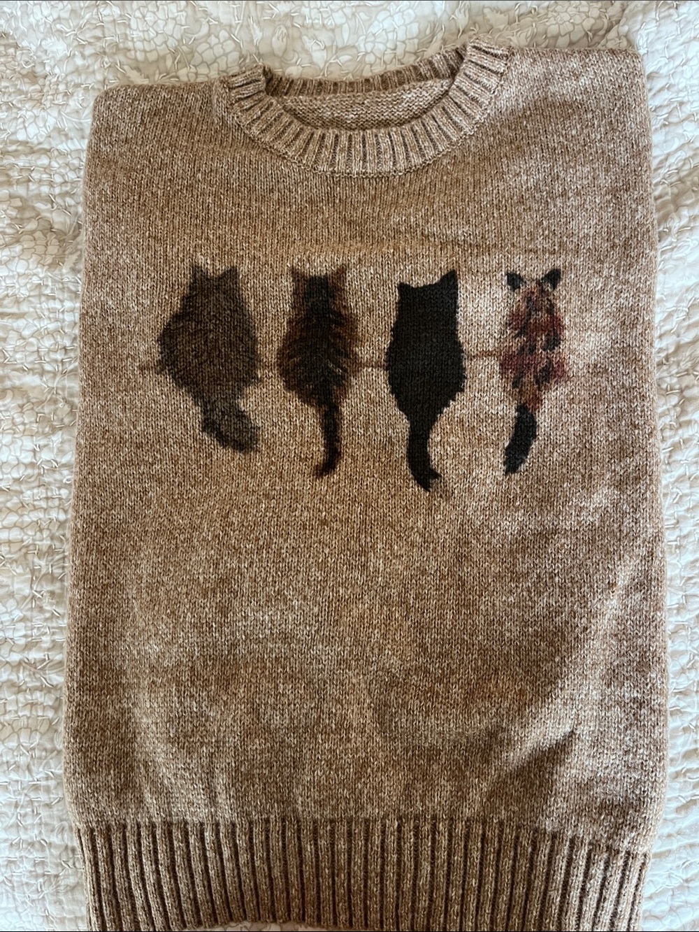 Cozy Cat Silhouette Sweater